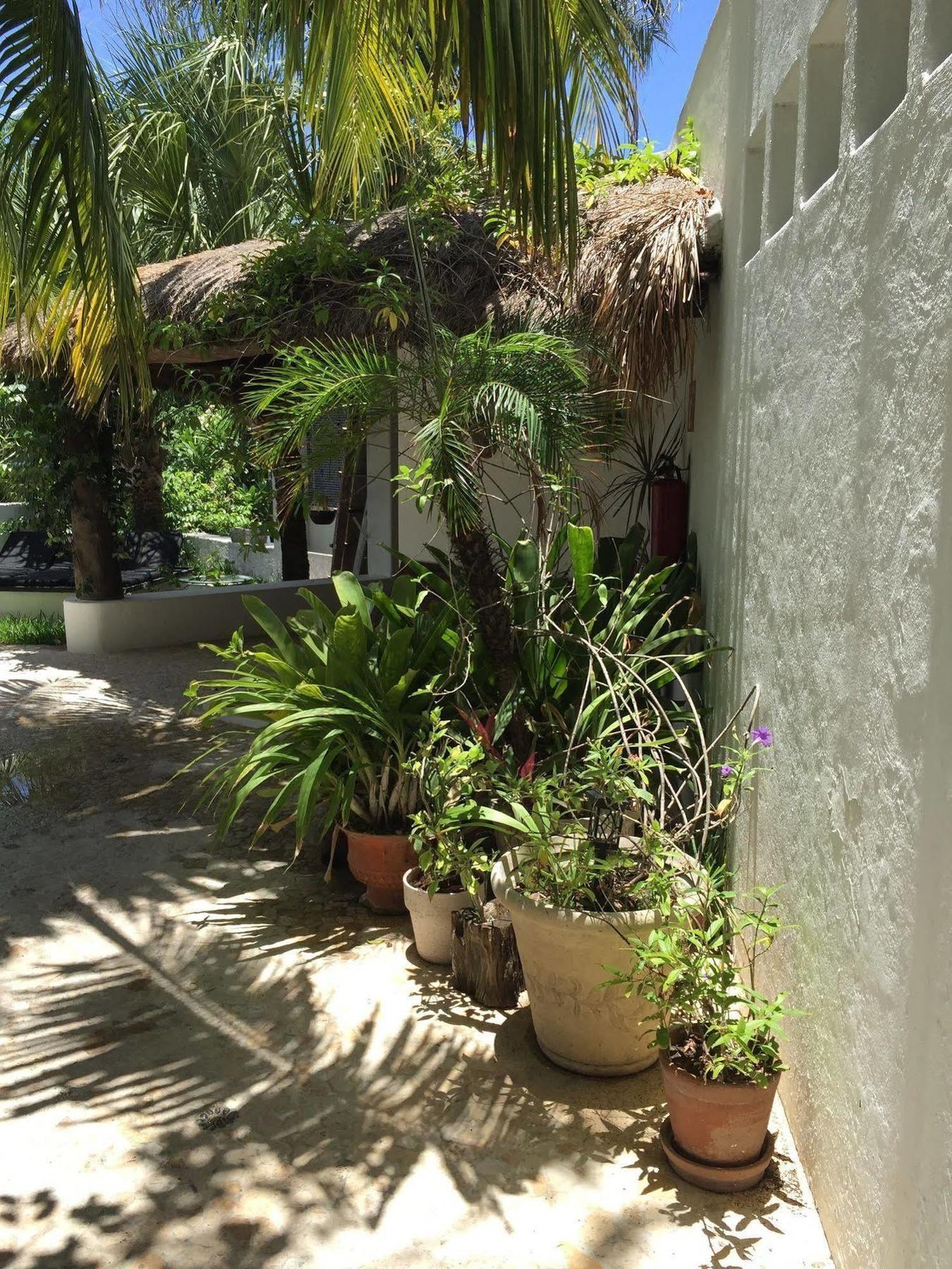Hotel Mi Casa En Cozumel Esterno foto