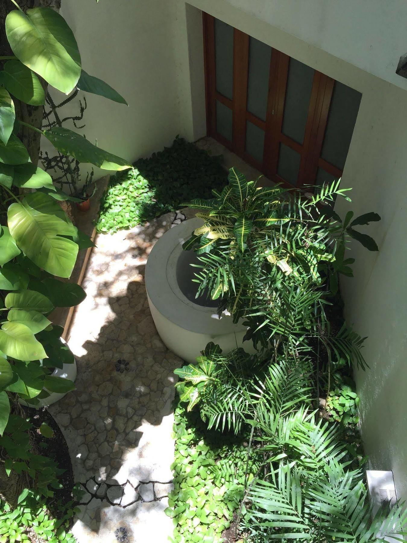 Hotel Mi Casa En Cozumel Esterno foto